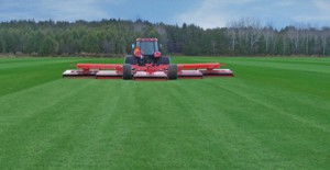 Siega del césped natural