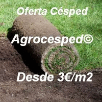 pallet-cesped-agrocesped