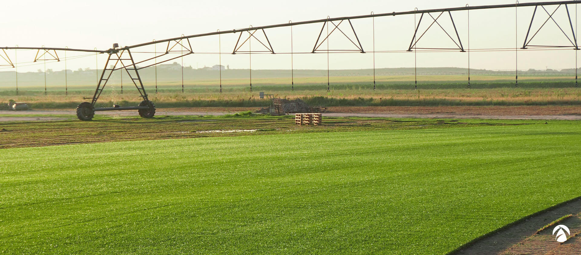 Césped natural a domicilio