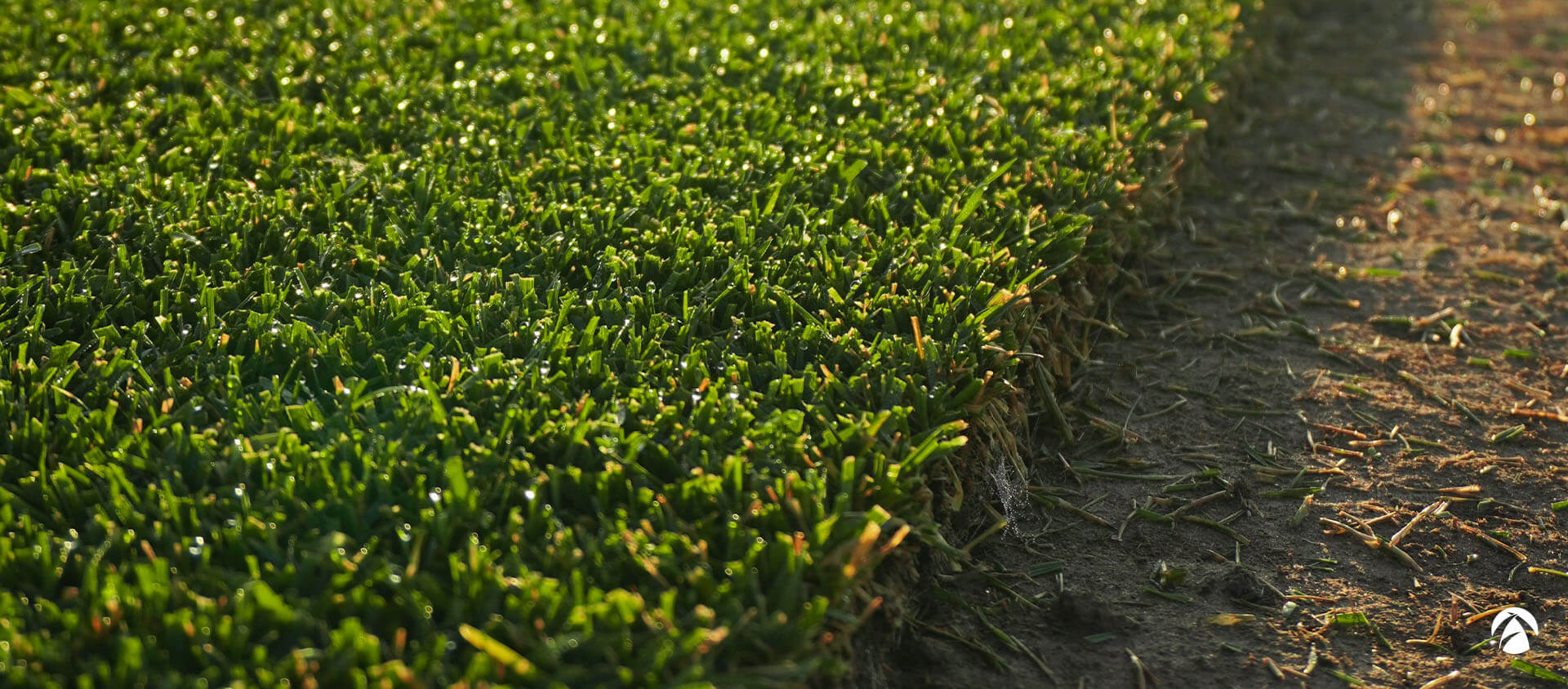 Parcela de césped natural